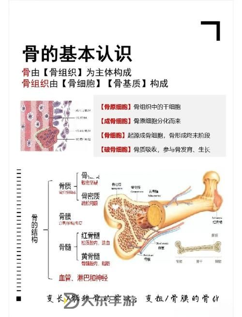 《迸發(fā)》第三關原型骨骼位置介紹 第三關原型骨骼在哪圖1