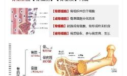 《迸發(fā)》第三關(guān)原型骨骼位置介紹 第三關(guān)原型骨骼在哪