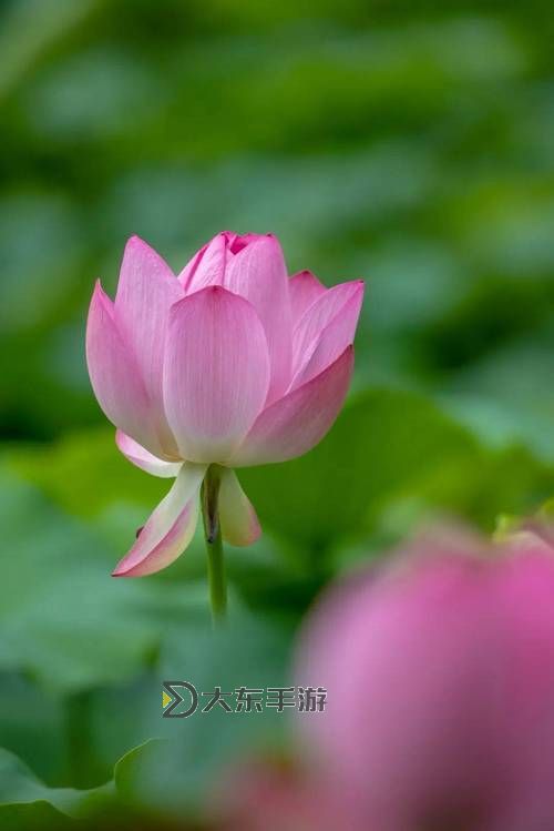 鎮(zhèn)國(guó)公花瀅瀅的孕期日常：溫馨點(diǎn)滴與暖心瞬間圖1