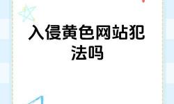 正能量不良網(wǎng)站直接進(jìn)入免費(fèi)：引導(dǎo)青少年健康上網(wǎng)的新思路
