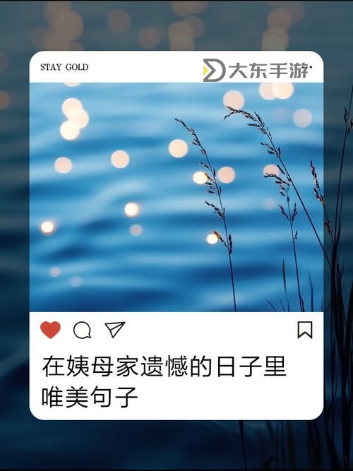 在姨母家的遺憾：無(wú)法挽留的時(shí)光與深藏的秘密圖1