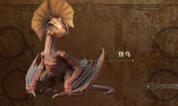 《怪物獵人X》只眼黑狼鳥單人打法詳解 怪物獵人X只眼黑狼鳥打法圖文攻略