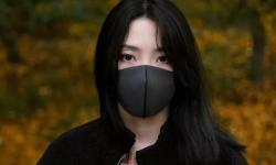 玩偶姐姐海島生活在線觀看：探索童話世界的美麗冒險