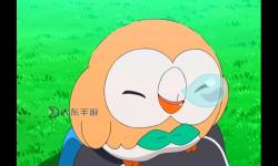 《口袋妖怪日月》木木梟技能介紹