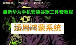 怎樣安裝視頻的詳細(xì)步驟指南