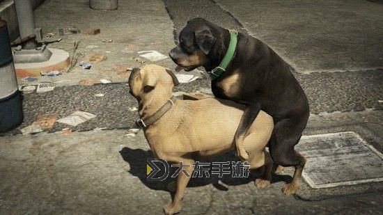 美國人與動物性膠網(wǎng)站:探尋網(wǎng)絡背后的隱秘世界圖1