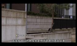 卓鶴霆與舒淮熙：攜手書寫未來新篇章