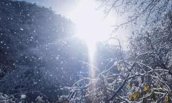 暢享高清體驗(yàn)：最新8×8×免費(fèi)視頻全集推薦