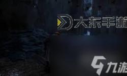 《光與影33號(hào)遠(yuǎn)征隊(duì)》盧明的孩子唱片獲取方法 盧明的孩子怎么獲得