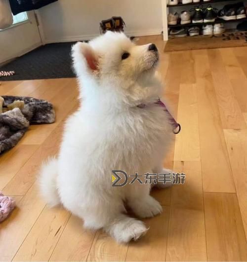 自己坐下來不疼乖乖的:輕松面對(duì)困難的小秘密圖1