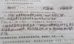 做錯(cuò)一題進(jìn)去一次C：我的考試逆轉(zhuǎn)之路