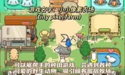 《莊園領(lǐng)主》純種田流玩法教學(xué) 莊園領(lǐng)主純種田流怎么玩