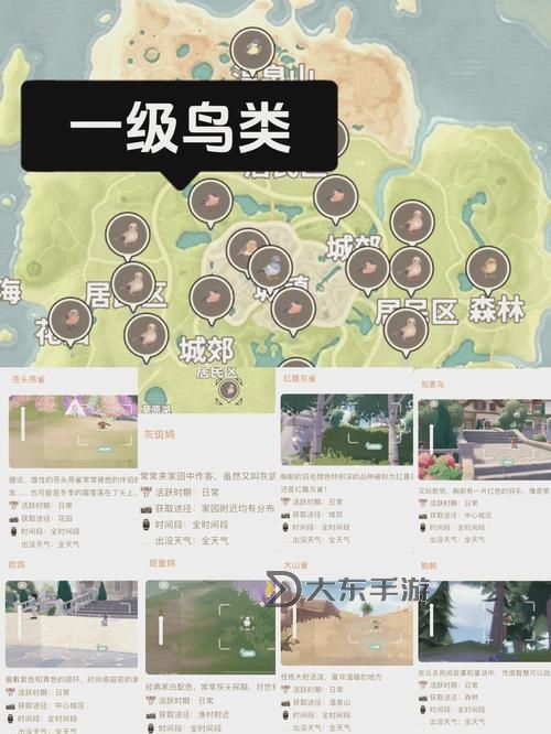 《心動(dòng)小鎮(zhèn)》灰冠紅雀位置說(shuō)明 灰冠紅雀在哪出現(xiàn)圖1