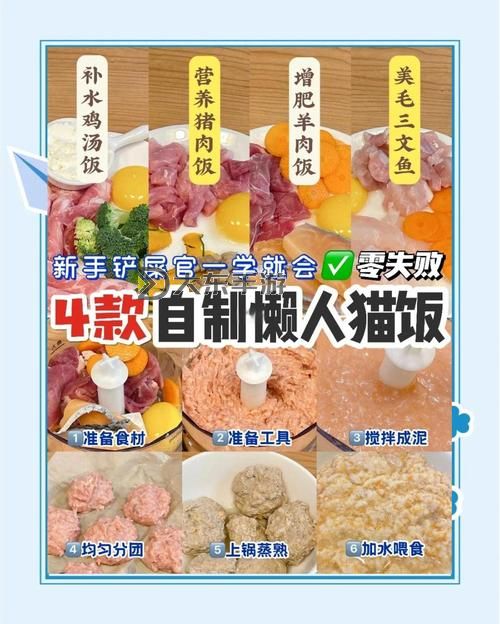 《狂野之心》實(shí)用貓飯配方推薦圖1