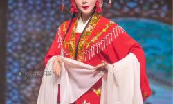 元媛惡女戲夫：逆轉(zhuǎn)命運的精彩人生