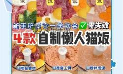 《狂野之心》實(shí)用貓飯配方推薦